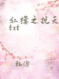 红楼之挽天倾 txt