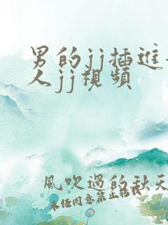 男的jj插进女人jj视频