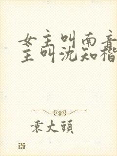 女主叫南音,男主叫沈知楷的小说 女主叫南音,男主叫沈知楷的小说