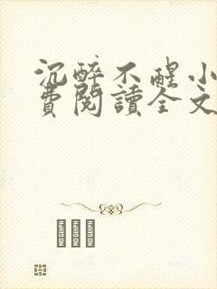沉醉不醒小说免费阅读全文无弹窗
