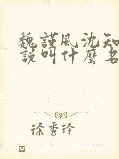魏谨风沈知玉小说叫什么名字