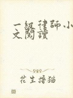 一级律师小说全文阅读