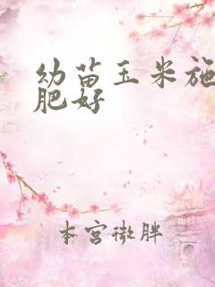 幼苗玉米施什么肥好