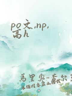 po文,np,高h