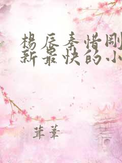 杨辰秦惜刚刚更新最快的小说