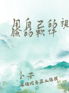用自己的视频换脸的软件