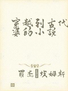 穿越到古代做婆婆的小说