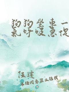 狗狗坐车一直喘气呼吸急促