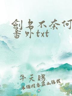 剑名不奈何全文番外txt