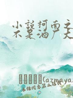 小说柯南之我真不是酒厂大佬txt
