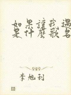 如果让我遇见你是什么歌名