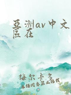 亚洲av中文一区在
