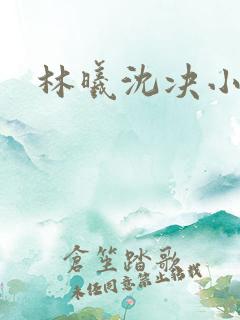 林曦沈决小说 林曦沈决小说