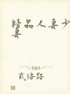精品人妻少妇人妻