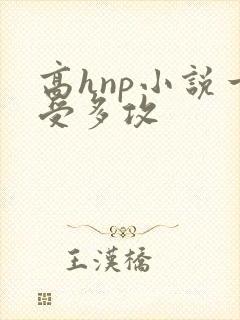高hnp小说一受多攻