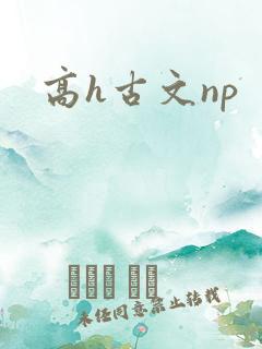 高h古文np