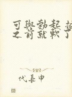 可与勃起 插入之前就软了