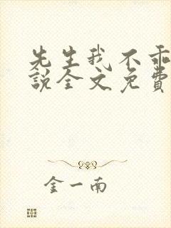 先生我不乖了小说全文免费阅读