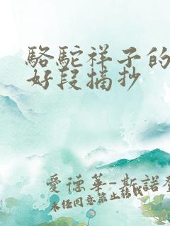 骆驼祥子的好句好段摘抄
