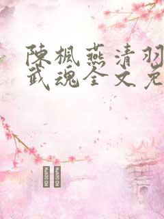 陈枫燕清羽绝世武魂全文免费阅读