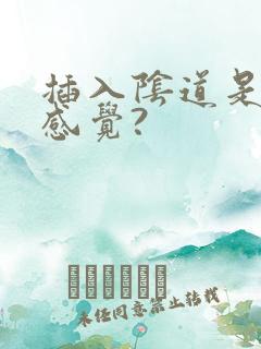 插入阴道是什么感觉?