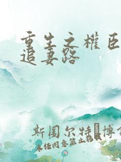 重生之权臣漫漫追妻路