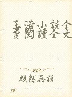 王浩小说全文免费阅读全文