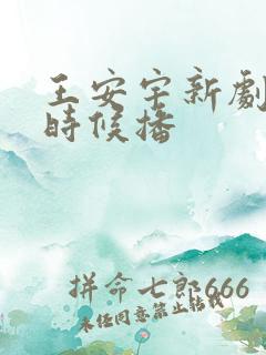 王安宇新剧什么时候播