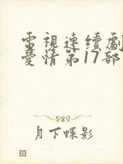 电视连续剧乡村爱情第17部