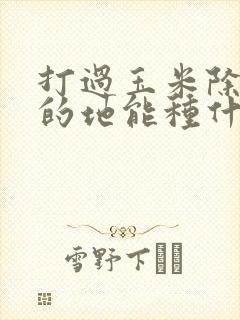 打过玉米除草剂的地能种什么