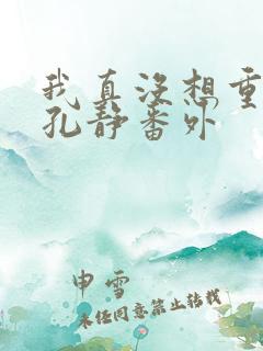 我真没想重生啊孔静番外