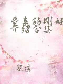 爱来的刚好剧情介绍分集