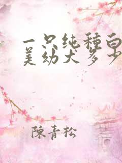 一只纯种白色博美幼犬多少钱