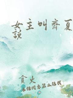 女主叫齐夏的小说