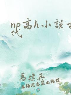 np高h小说古代