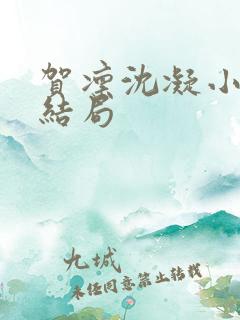 贺凛沈凝小说大结局
