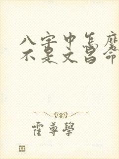 八字中怎么看是不是文昌命