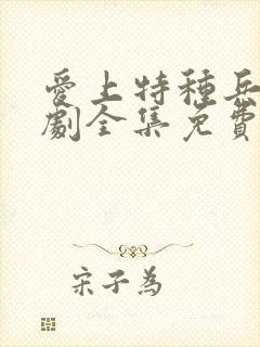 爱上特种兵电视剧全集免费