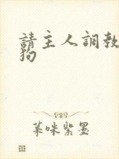 请主人调教贱母狗