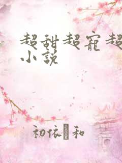 超甜超宠超撩的小说