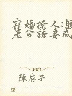 宠婚撩人:腹黑老公诱妻成瘾