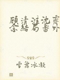 顾清淮沈霁禾乔念结局番外
