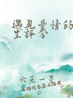 遇见爱情的利先生评分