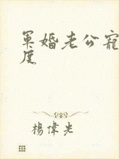 军婚老公宠妻无度