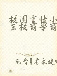 校园言情小说男主校霸学霸