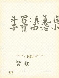 斗罗:真气运之子霍雨浩小说
