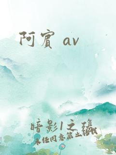 阿宾 av