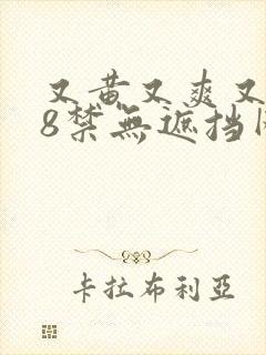又黄又爽又色18禁无遮挡网站