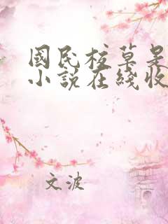 国民校草是女生小说在线收听