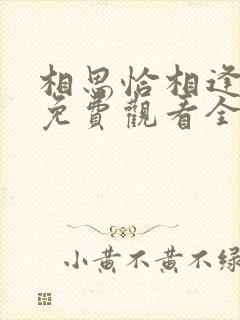 相思恰相逢短剧免费观看全集高清